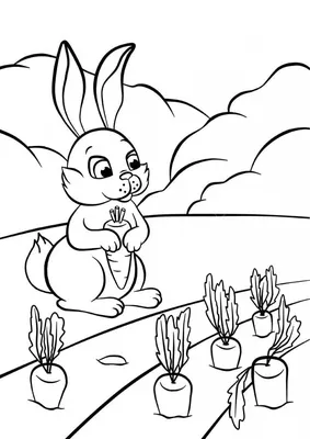 Раскраска заяц с морковкой для детей - 41 фото