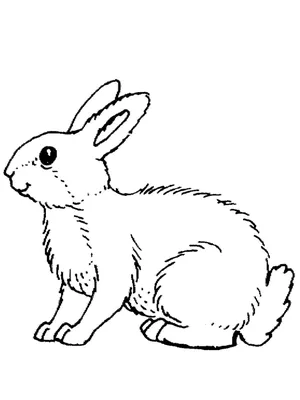 Заяц рисунок для детей - 143 фото