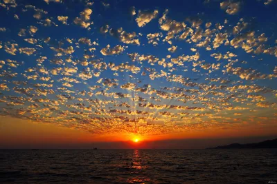 Фон море закат - фото и картинки: 63 штук
