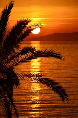 Закат Солнца, Природа, Море - обои на телефон | Лучшие Бесплатные фото