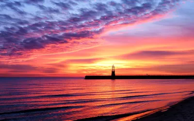 Обои закат, море, Пальма, горизонт, восход солнца на телефон Android,  1080x1920 картинки и фото бесплатно