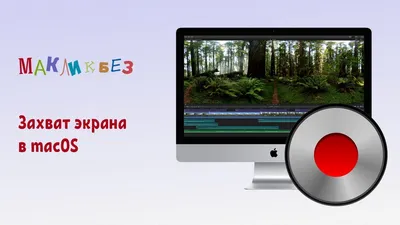 Windows] iScreenKit на 1 год (захват экрана) | Пикабу