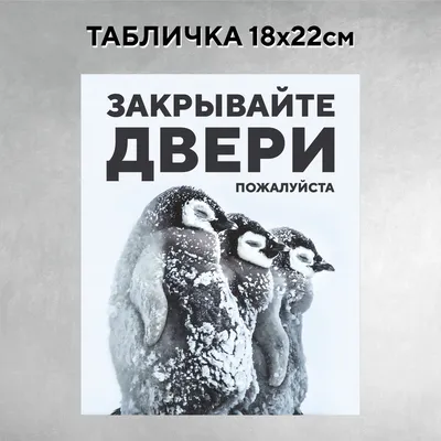 Табличка на дверь Закрывайте двери пингвины, 22 см, 18 см - купить в  интернет-магазине OZON по выгодной цене (1150556256)