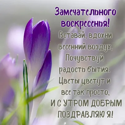 Картинки с надписью - Отправляю тебе пожелания доброго утра и замечательного  дня!.