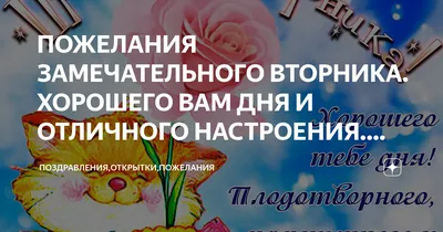 Открытка: что может быть лучше вторника?