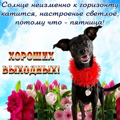 СЛОВА ЖИЗНИ - Замечательной пятницы! 🌷☀ | Facebook