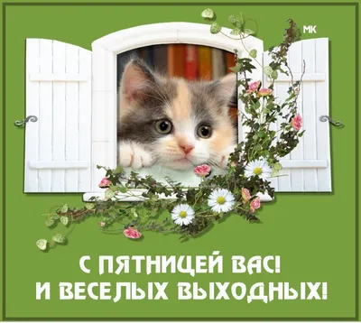 Иnnovaция_Showroom - Доброе утро! Всем замечательной пятницы и выходных 💐  | Facebook