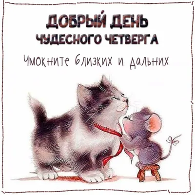 Доброе утро Среды, картинки прикольные новые 38 смешных фото с надписями -  АуФФ