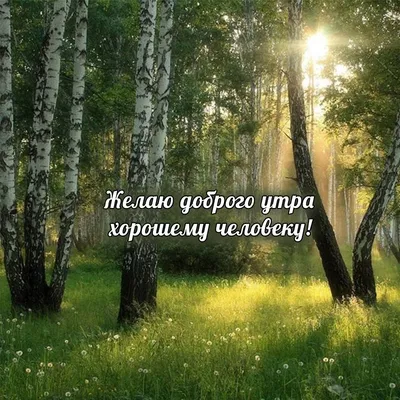 Сегодня 99 лет!!! Алексею Васильевичу Ларионову — Замечательному человеку,  Ветерану Великой Отечественной войны.