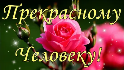 Открытки "Доброго дня!" для мужчин (226 шт.)