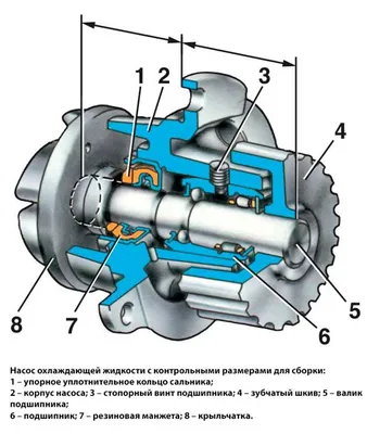 K-POWER | Кунсткамера | Анатомия водяной помпы FENOX