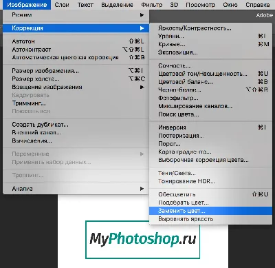 Замена цвета в Фотошопе: как пользоваться