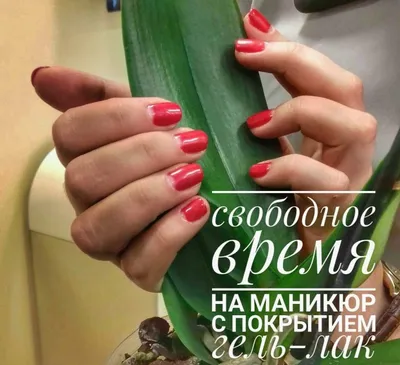 Запись на маникюр картинки