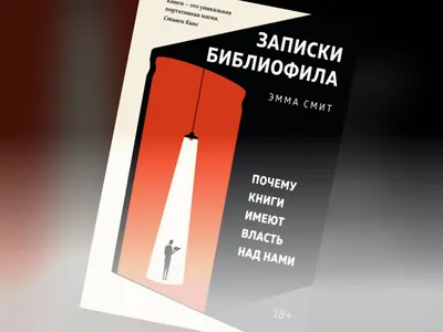 Римский дневник. Записки Илионы из Митилены - Vilki Books