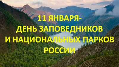 5 Заповедников России. Наследие ЮНЕСКО | ИнфоВолна | Дзен