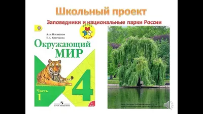 11 января — Всероссийский день заповедников и национальных парков –  Анапский археологический музей