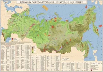 Заповедный туризм в России