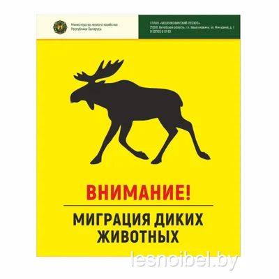 Картинки разрешающие знаки природы (68 фото) » Картинки и статусы про  окружающий мир вокруг