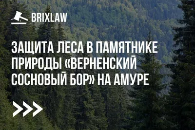 ЗАЩИТА ЛЕСА НА ЗАХАРЕНКО! 2024 | ВКонтакте