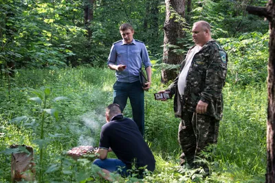 Дерево Слоган Защита леса, художественный плакат, лист, рука, плакат png |  Klipartz