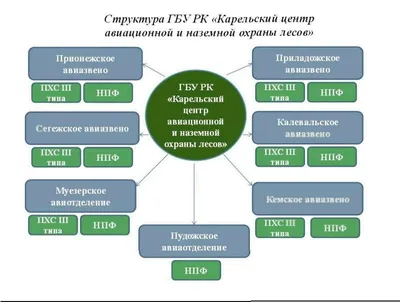 Биологическая защита леса и зеленых насаждений - СТЕФИКО Групп