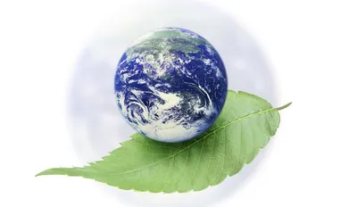 Egis | Защита окружающей среды