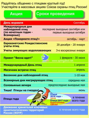 6x отпугиватель птиц голуби защита голубей шипы нержавеющая сталь купить в  Германии - 