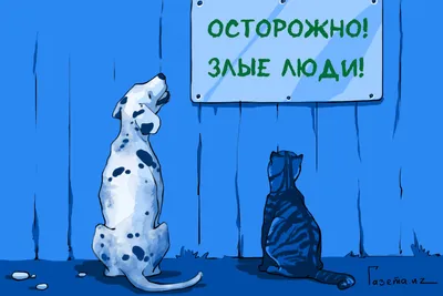 В России может появиться Уполномоченный по защите животных