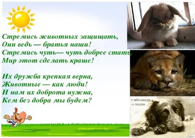 Серия экологических плакатов в защиту животных «Останови это»