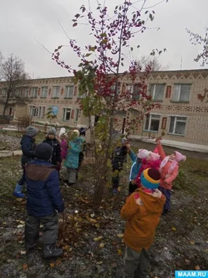 Печать "Защитим природу вместе" - купить с доставкой по выгодным ценам в  интернет-магазине OZON (743012858)