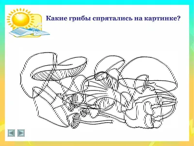 Внимание и память. Зашумленные картинки. › МБДОУ Детский сад  комбинированного вида №29 города Асбест