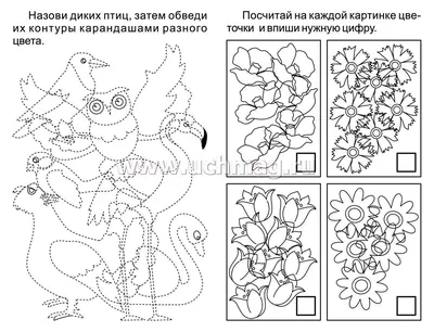 Зашумленные картинки. Кто спрятался на картинке - презентация онлайн