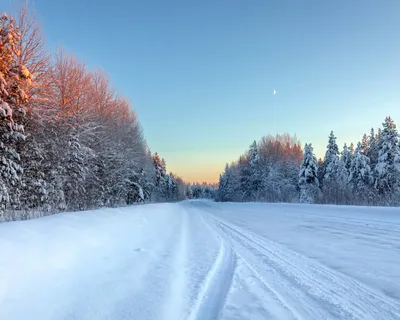 Дорога среди заснеженного леса - обои для рабочего стола, картинки, фото