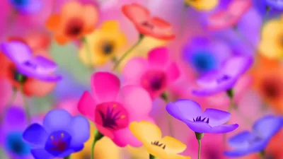 Заставки цветы для рабочего стола скачать качественные HD заставки цветы