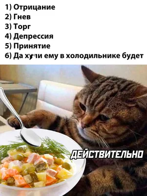 Застолья смешные картинки