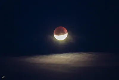 Фоторепортаж: частное затмение луны в Великом Новгороде - 53 Новости