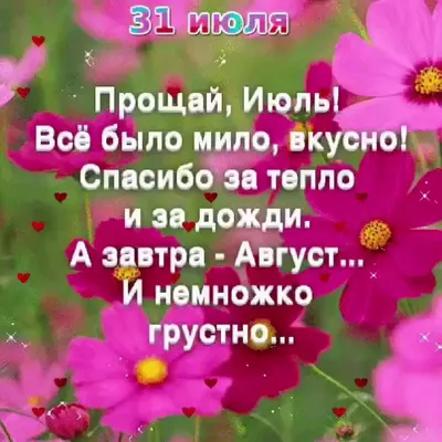 Пин от пользователя Taisija 🇷🇺 на доске ДОБРОЕ УТРО | Лето, Утренние  сообщения, Картинки