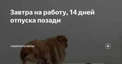 Завтра на работу, 14 дней отпуска позади | Лабиринты Лейлы | Дзен