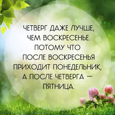 Виолетта Волкова on Twitter: "Правильная рабочая неделя началась. Сегодня  понедельник. Завтра - пятница. )))" / Twitter