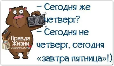 Наконец-то завтра пятница 😃😉 | Животные, Милые животные, Веселые мемы