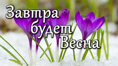 А завтра весна... / А завтра весна / Автор: Татьяна (Tata)