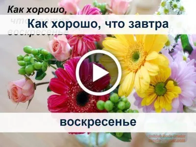 Видеооткрытка для тебя | Открытки, Воскресенье, Утренние сообщения