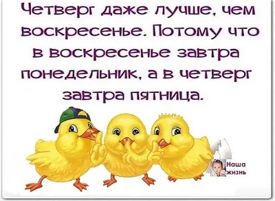 События в Калуге на завтра (воскресенье, 24 декабря):  Праздник  зимнего… | Афиша кратко | Калуга | Дзен