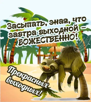 Я: Завтра выходной, наконец-то приведу квартиру в порядок, перестираю вещи,  наготовлю еды на недел / выходной :: Воскресенье :: anon / картинки, гифки,  прикольные комиксы, интересные статьи по теме.