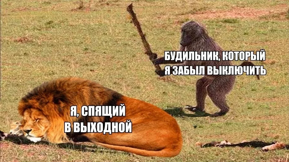 Выходной оффтоп