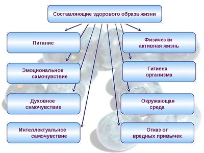 Витамины и здоровье человека