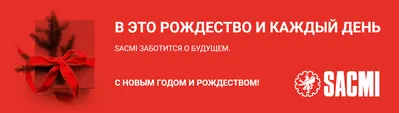 Помощь людям с ограниченными возможностями и забота о здоровье:  традиционный смысл Рождества для SACMI | SACMI