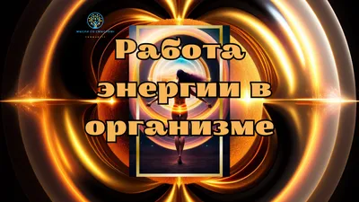 Здоровый смысл: когда смотреть по ТВ в городе Орехово-Зуево - ТВ Центр -  Рамблер/телепрограмма