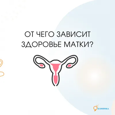 От чего зависит здоровье матки?