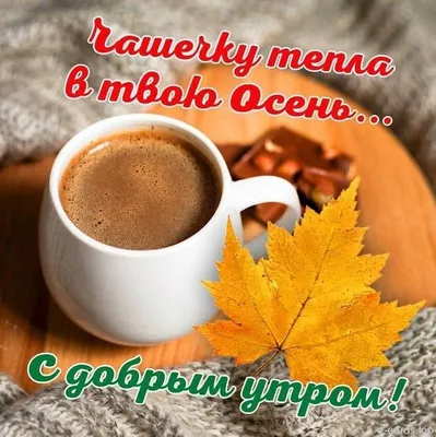 Доброе утро друзья! Прекрасного настроения и хорошего дня вам!🍁🍁🍁  Здоровья, счастья, удачи, любви и всех земных благ вам!🥰🥰🥰 Мира и добра…  | Instagram